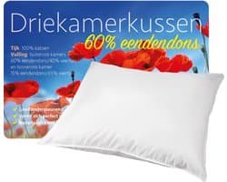 iSleep 3-Kamer Donzen Hoofdkussen - Eendendons - 60x70 cm - Wit