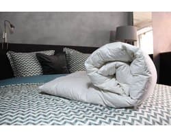 Loiva Premium - Ganzendons Winterdekbed 200 x 220 cm - Tweepersoons