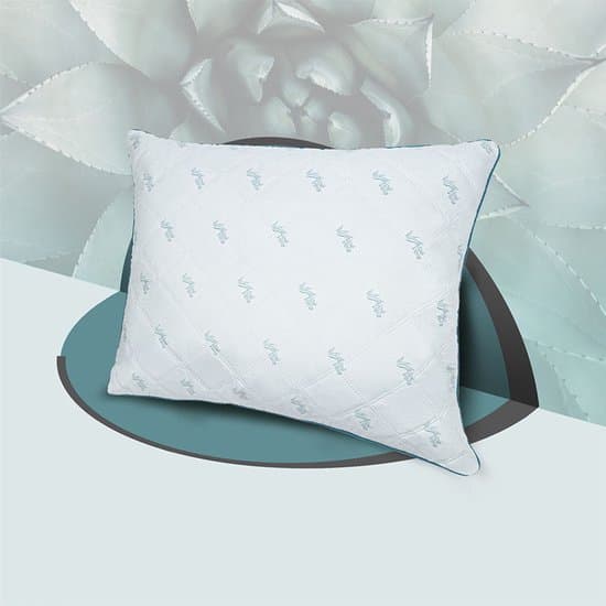 Aloë Vera - Hoofdkussen - Lux Hoofdkussen - 60x70 cm