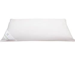 Hoofdkussen - Bamboo 40x80