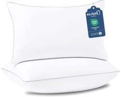 Set Kussens - Nachtkussens Bedkussens - Comfortabel Slapen - Oeko-Tex Gecertificeerd - 2 stuks 46x71 cm - Wit