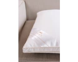 IBERIS - 3-laags ganzendonzen kussen