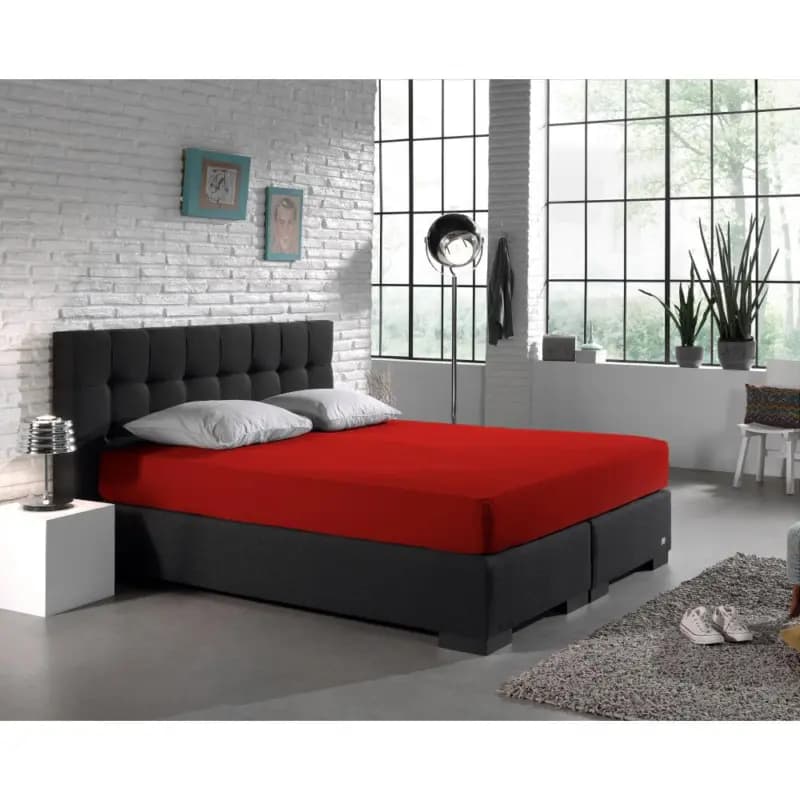 Dreamhouse Dubbel Jersey 220 gr. Hoeslaken Rood 140 x 200/220 cm