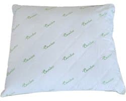 BAMBOE HOOFDKUSSEN 60x70 cm. - 2 stuks