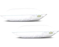 iSleep Noblesse Hoofdkussen Set (2 Stuks) - 60x70 cm - Wit