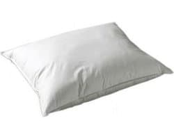 Ducky Dons Kussen - Eendenveren - 1700 gram - 60x70 cm - Wit