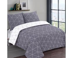 VISION Hugo Flanel - Tweezijdig omkeerbaar Dekbedovertrekset - 100% katoen flanel: warm en zacht - Tweepersoons - Dekbedovertrek 200 x 200 cm met 2 bijhorende slopen - Grijs / Wit - Oekotex gecertificeerd