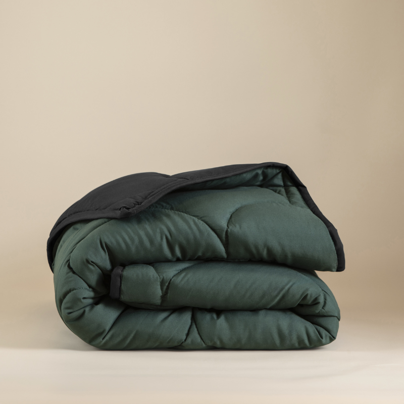 Dekbed Lazy & Dekbedovertrek in 1 Double Face - Enkel , Easy - zonder overtrek - 240x200 cm (Lits-Jumeaux) - Sleeptime - 300 gram per m² -