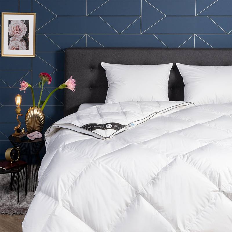 Dekbed Dons 100% Ganzendons 4 Seizoenen - 4 Seizoenen & Zomer & Winter - 200x220 Cm (Tweepersoons) - Presence 310 Gr (210 Gr + 100 Gr) - Dekbed-Discounter.nl
