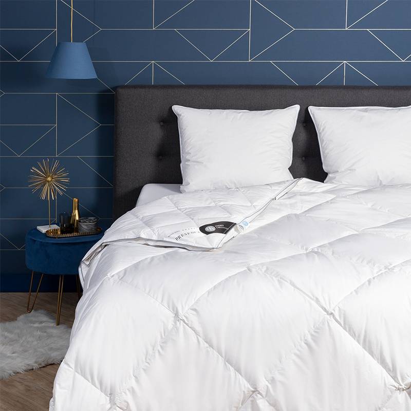 Dekbed Dons 65% Ganzendons 4 Seizoenen - 4 Seizoenen & Zomer & Winter - 140x200 Cm (Eenpersoons) - Presence 370 Gr (240 Gr + 130 Gr) - Dekbed-Discounter.nl
